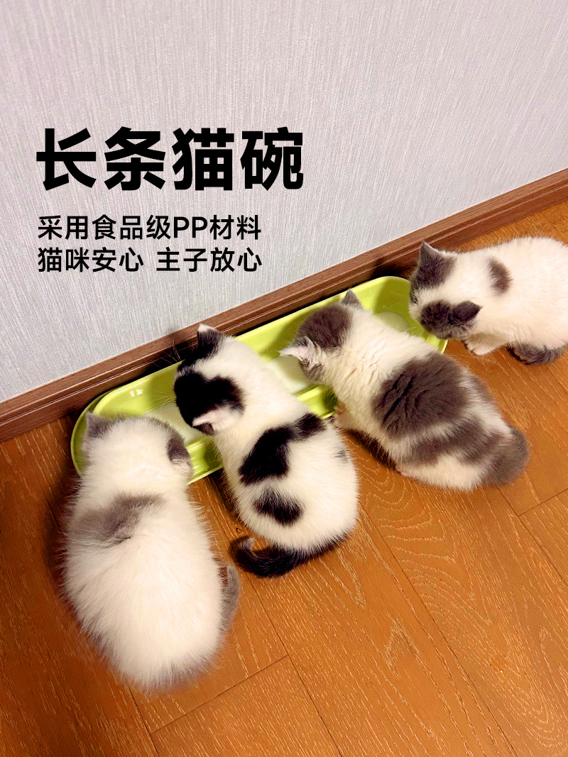 长条猫碗新生小奶猫喂奶共吃盆多猫猫食盆猫咪防打翻喝水盆宠物碗 - 图0