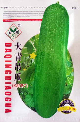 Daaqing Hanging Melon Seed Seed Cucumber Cucumber Cucumber Cucumber Cucumber Spring, Summer и осень Four Seasons.