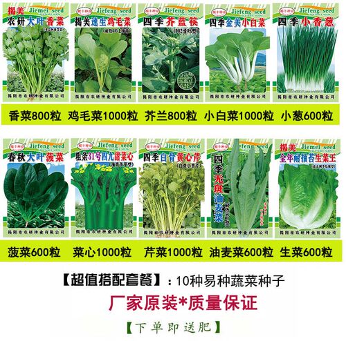 10种蔬菜种子套餐 秋冬季四季农家种子 阳台庭院种菜 菜籽易种 - 图0