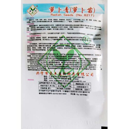 萝卜菜种子 萝卜青半青白梗萝卜苗四季易种芽苗菜生长快口感鲜嫩 - 图1