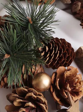 圣诞装饰天然松果组合冬季节日手工diy森林幼儿园干树枝创意摆件