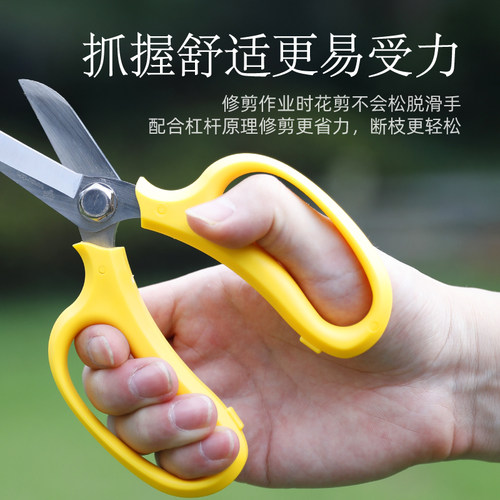 沃施worth 园艺剪刀修枝剪树枝剪剪鲜花花剪花艺剪刀家用修剪工具 - 图0