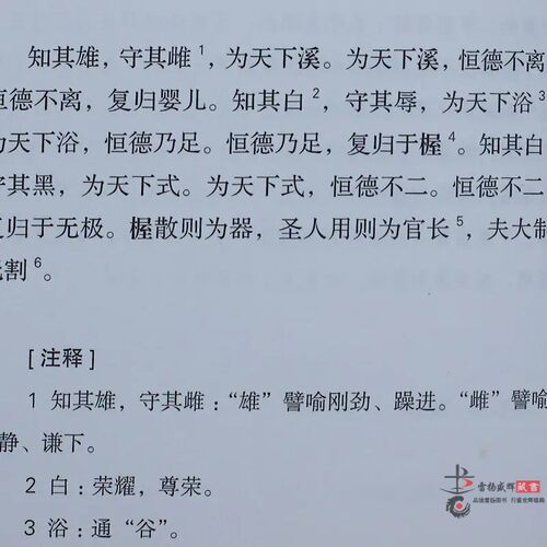 【善品堂藏书】帛书老子道德经羊皮卷珍藏版接近老子愿意的版本德经道经简体横排生僻字注音疑难字注释赵威甲骨文道德经老子马王堆-图2