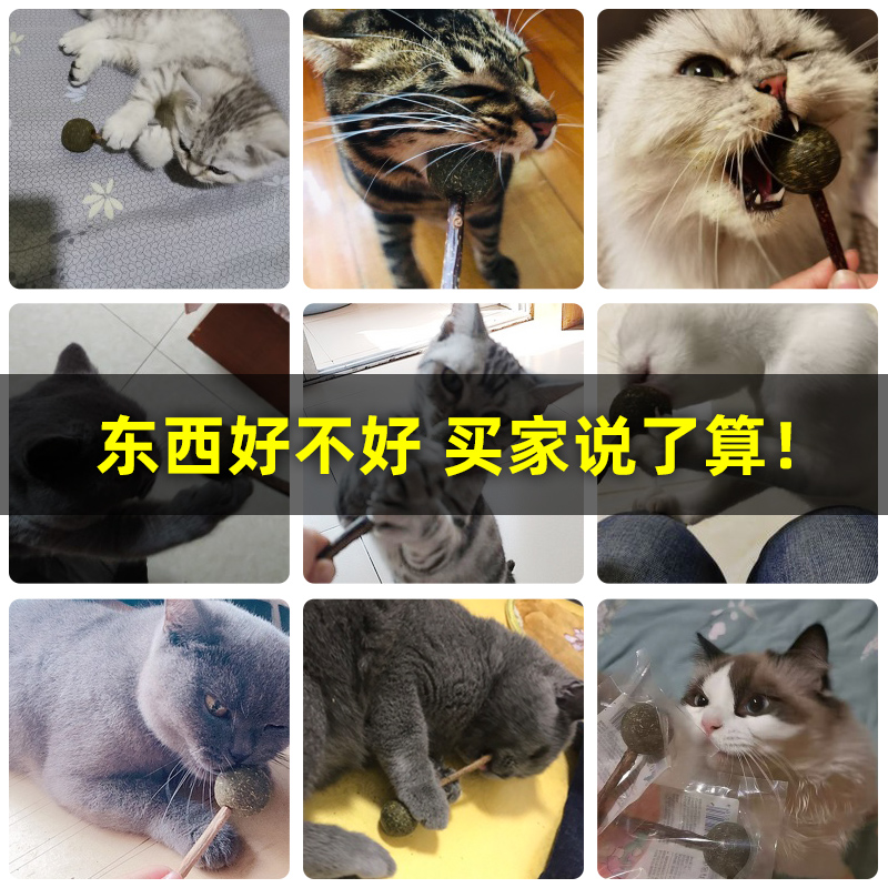 【天猫U先】猫薄荷棒棒糖5支装（各种形状随机发）-图1