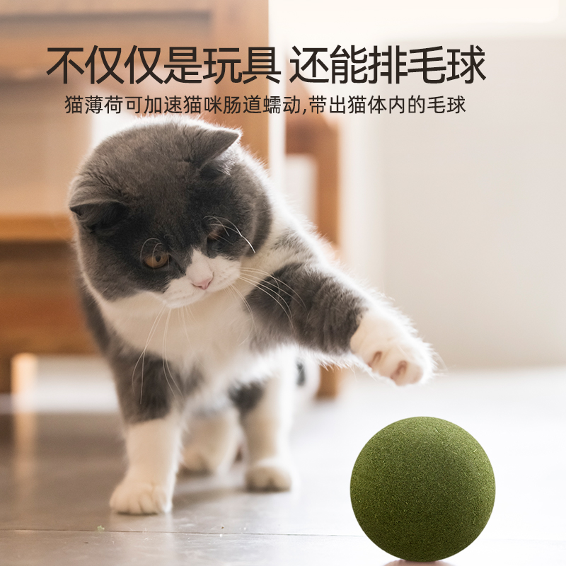 金多乐猫玩具猫薄荷球自嗨解闷猫宠物逗猫棒小猫磨牙猫咪零食用品-图2