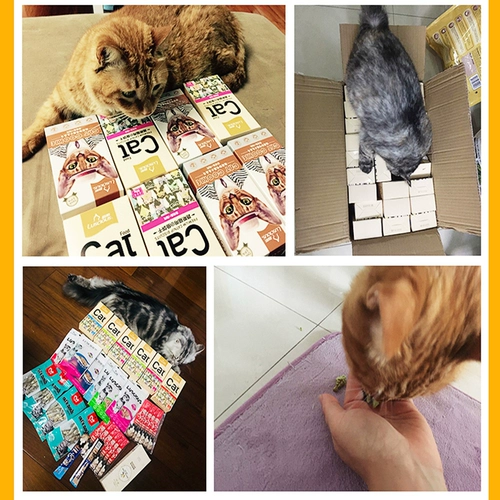 路斯 Кошачье печенье кошачья закуски маленькая рыба сушеные питания кошачьи консервированные кошачьи кошки бьют модель кошек Мого