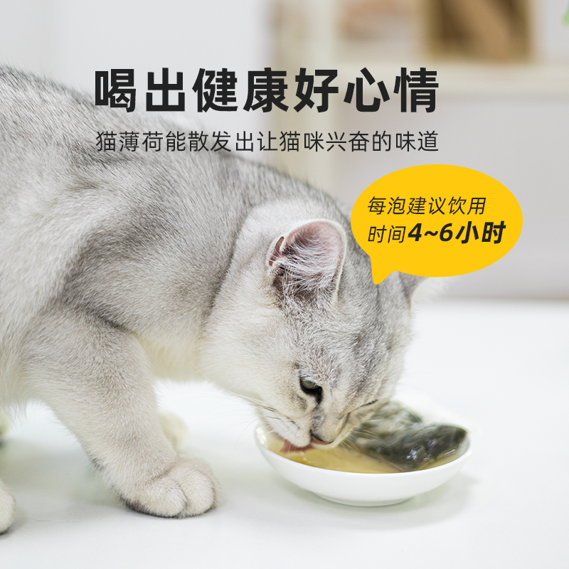 猫薄荷茶包粉可食用猫咪不爱喝水骗猫宠物用品零食猫酒猫草木天蓼 - 图2