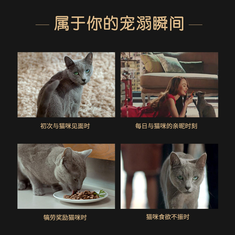 希宝猫罐头整箱24罐成猫幼猫进口汤罐猫咪零食旗舰店搭配猫条主食 - 图2