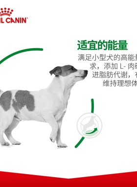 皇家PR27小型犬专用成犬粮