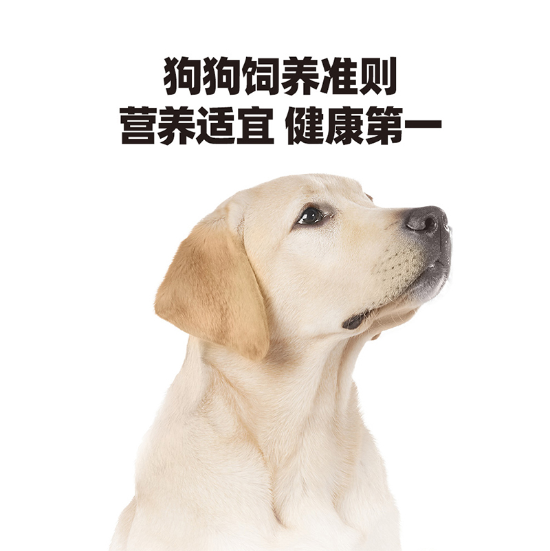 伯纳天纯狗粮中大型15kg成犬幼犬粮鸭肉梨博纳天纯12kg通用旗舰店 - 图3