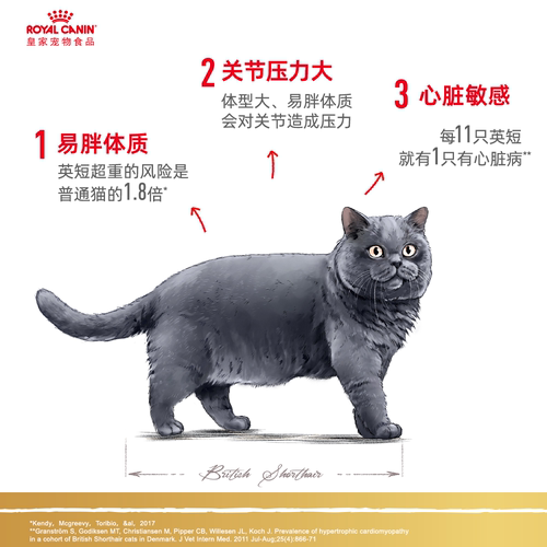 皇家猫粮BS34蓝猫室内运动英短美短成猫通用全价实惠装官方授权 - 图0