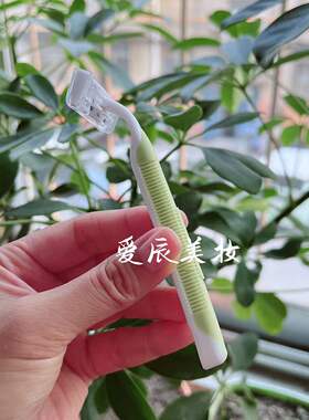 绿素T型耙刀2个装剃毛刀