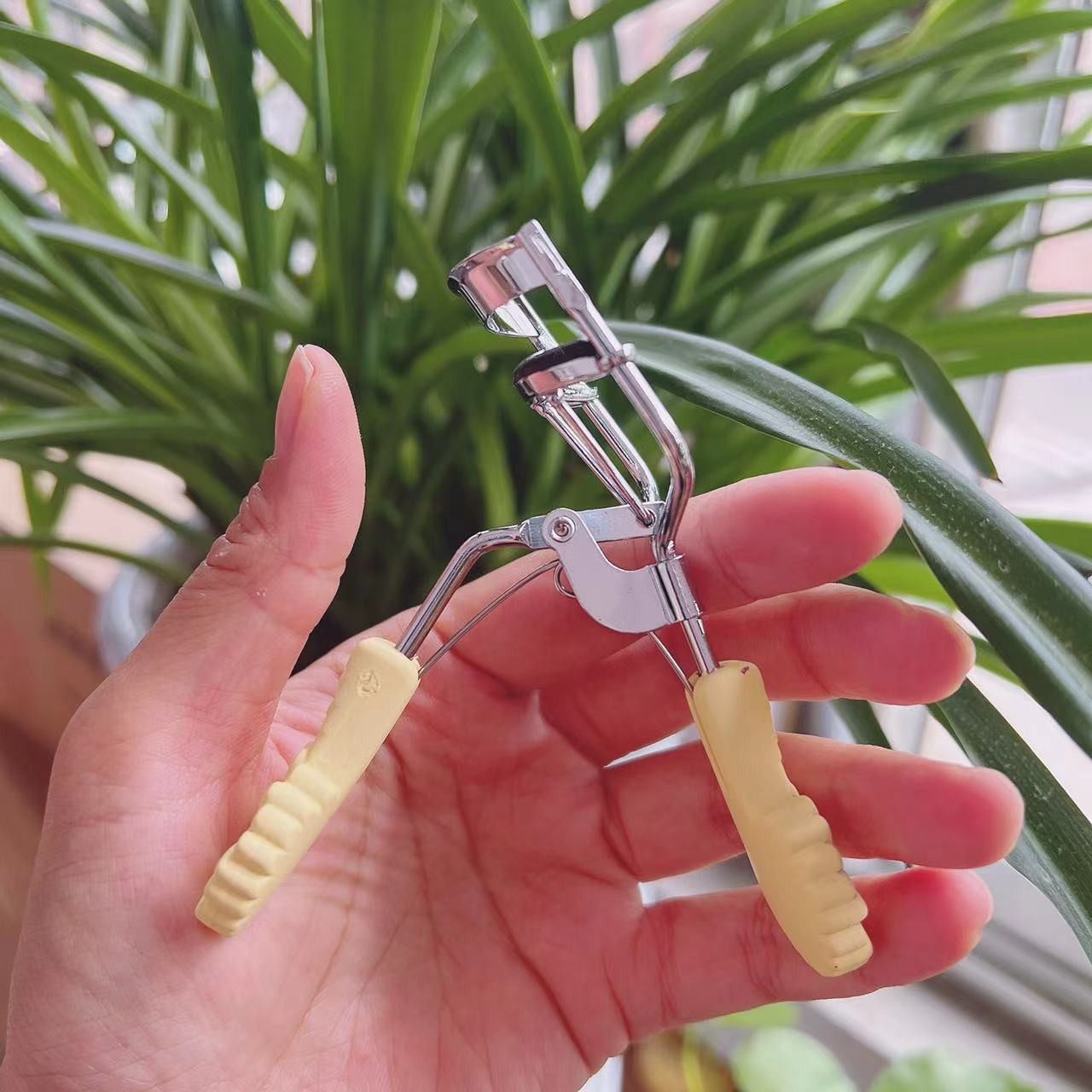 三迪逸品卷翘持久定型眼睫毛夹局部太阳花初学者便携式夹睫毛器女,淘宝优惠券,粉丝福利购,淘宝优惠卷