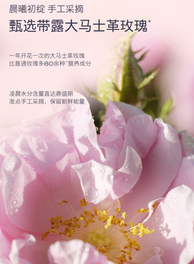 德国天露芬玫瑰纯露喷雾爽肤水大马士革玫瑰精华湿敷水120ML正装