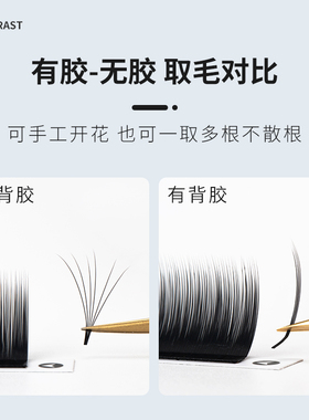 广角漫画山茶花睫毛哑光