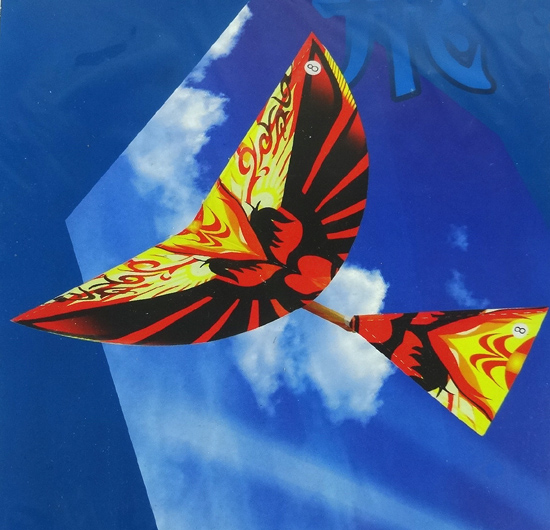 神翼橡筋动力扑翼机模型儿童户外益智玩具科技制作飞机模型鲁班鸟-图0