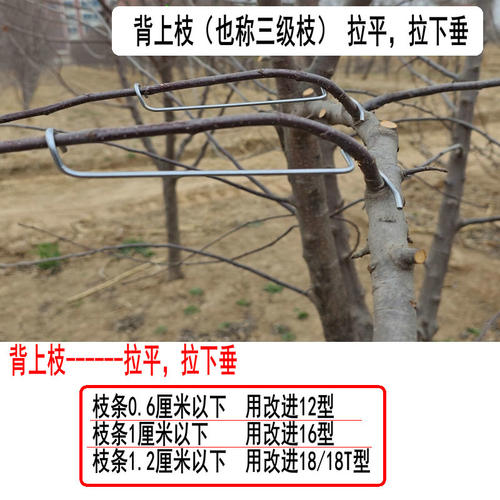 单个果树拉枝器改进型开角器压枝主干定型器别枝拨弯苹果拉枝神器 - 图0