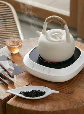 小熊电陶炉ZCQ-L05H5电茶炉家用煮茶器多功能小型电磁炉泡茶煮茶