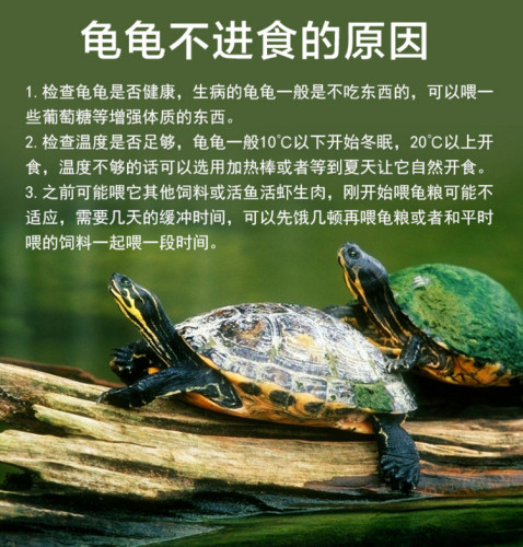 买20袋包邮9折三友创美20g上浮小粒龟粮食乐游之高蛋白三元龟饲料 - 图0
