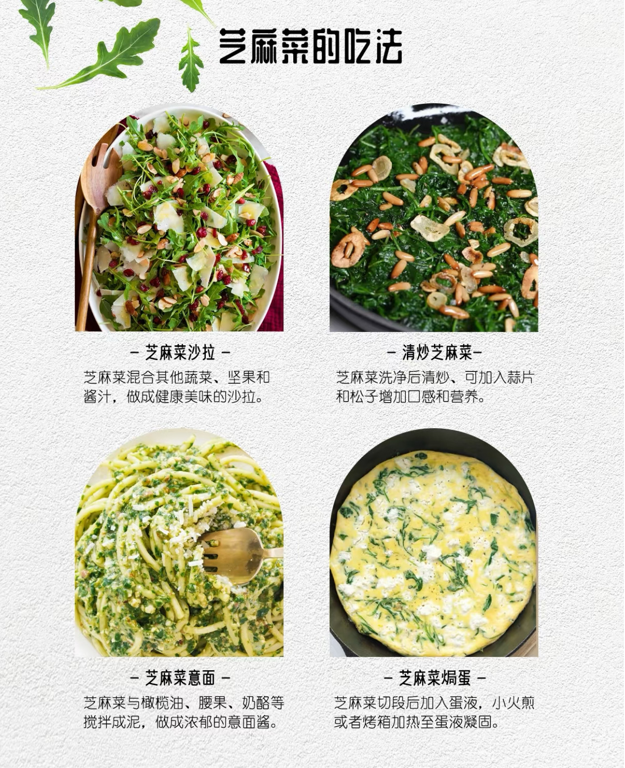 芝麻菜盆栽 盆栽蔬菜 香草绿植 沙拉种植简单 阳台蔬菜,淘宝优惠券,粉丝福利购,淘宝优惠卷