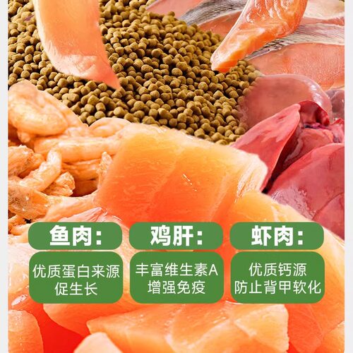 观赏乌龟粮高钙鲜肉开口饲料 南极磷虾鱼冻干巴西鳄草半全水龟食 - 图3