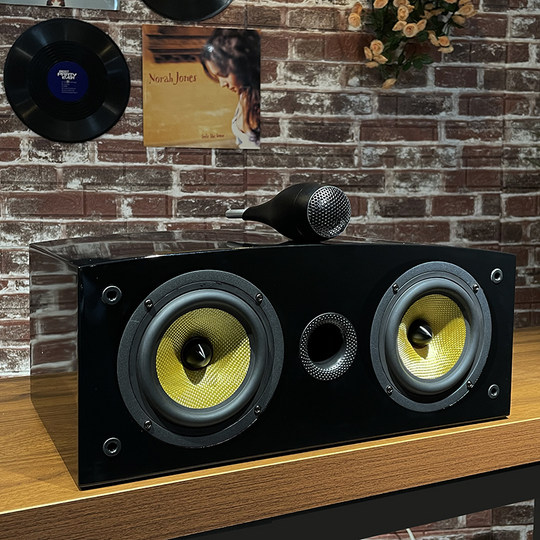 Banlong home theater Nautilus passive bookshelf box hifi fever-grade speaker home high-fidelity audio center