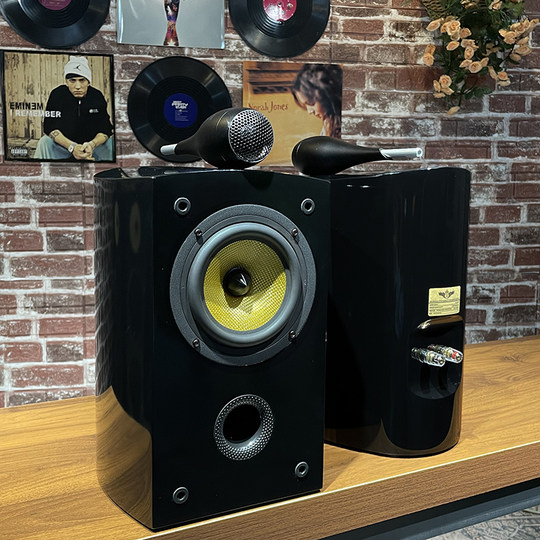 Banlong home theater Nautilus passive bookshelf box hifi fever-grade speaker home high-fidelity audio center