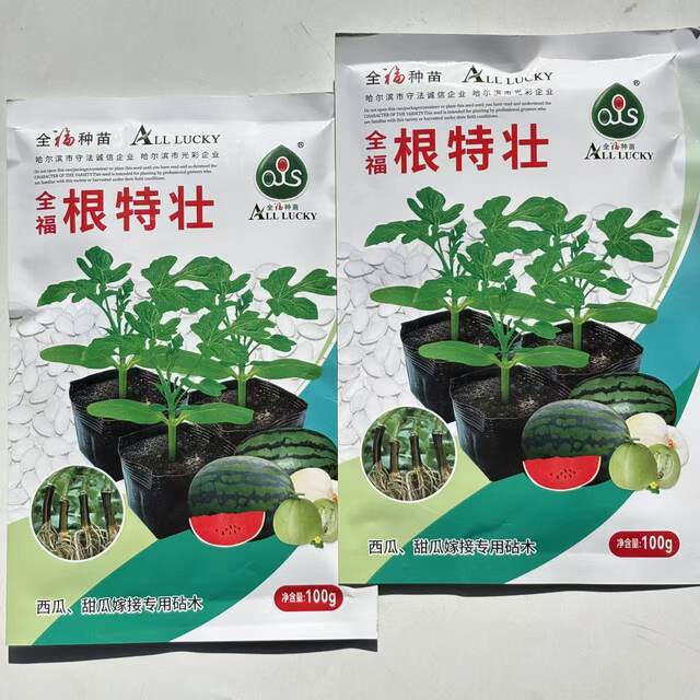 Special rootstock for watermelon and melon, grafted watermelon seed with full seeds, disease resistance, resistance to repeated cropping, strong affinity