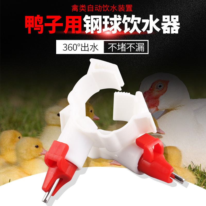鸭子钢球饮水器 鸭用自动水嘴 鹅用乳头饮水器 鸭乳头钢球饮水器,淘宝优惠券,粉丝福利购,淘宝优惠卷