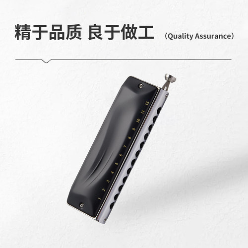 JDR嘉德瑞半音阶口琴 GM-0648 初学推荐包邮送教程视频成人口琴 - 图0