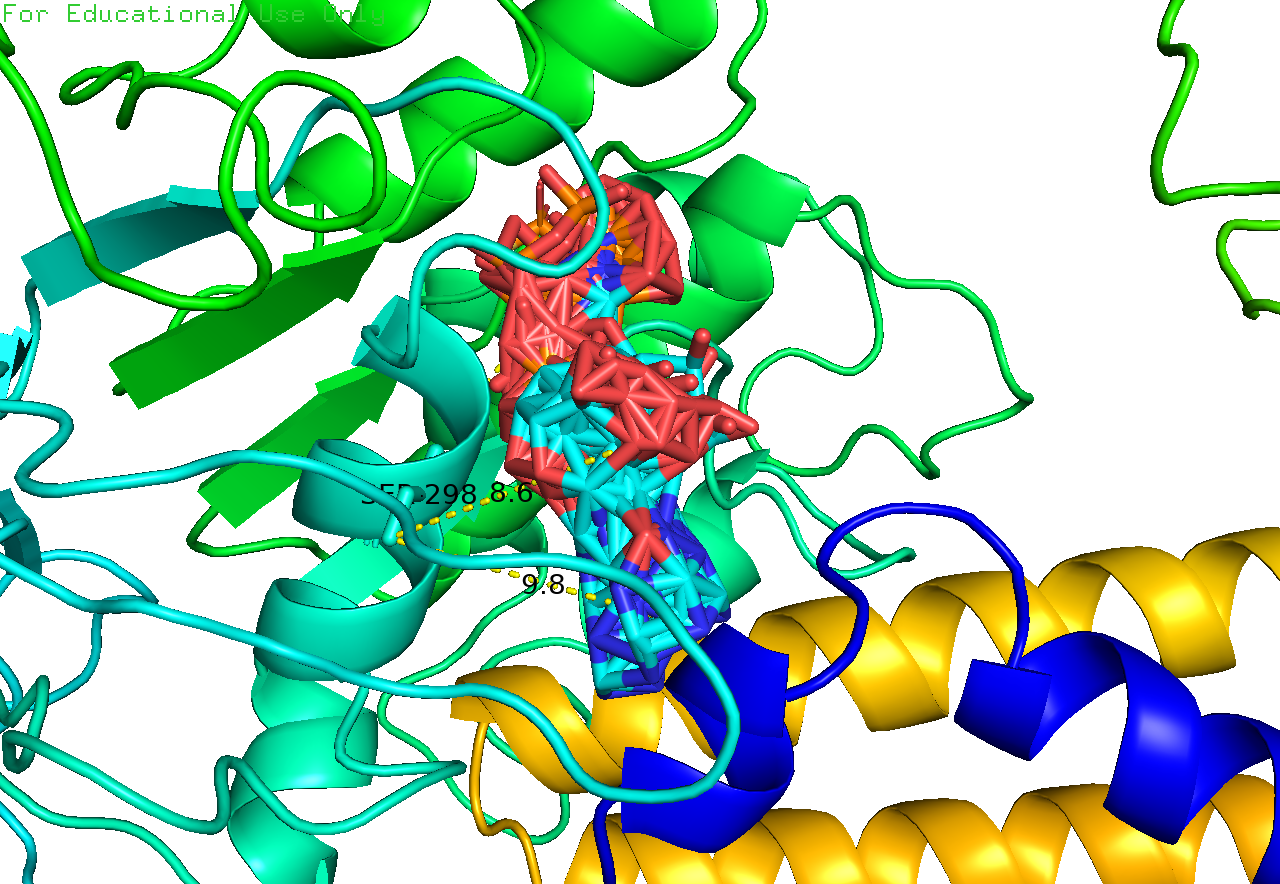 蛋白分子对接Discovery Studio分析3D结构2D结构图PyMOL-图1