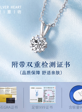 2026新款纯银999锁骨链送妈妈