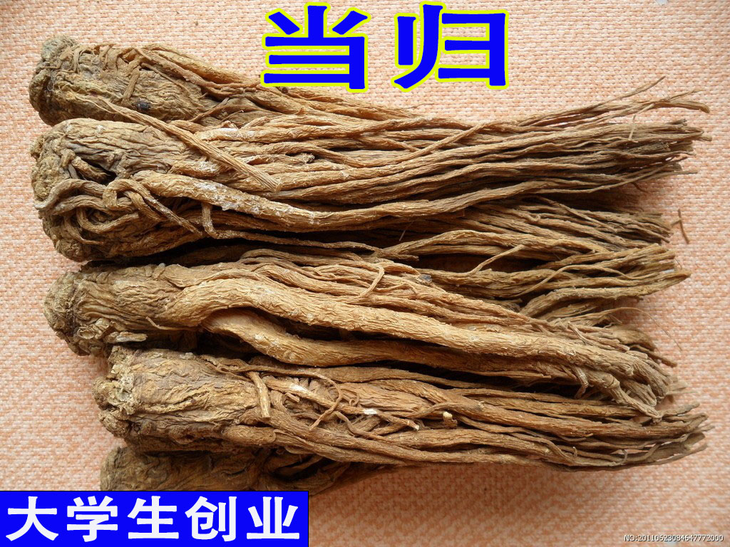 甘肃黄芪500g克野生特级北芪片黄氏中岷县药材正品配当归党参泡水 - 图1