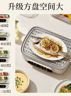 志高可视防干烧多层电蒸锅