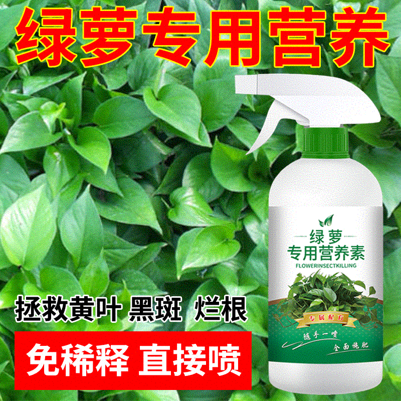 绿萝专用营养素植物花卉通用养分补充剂营养液盆栽页面肥易吸收-图1