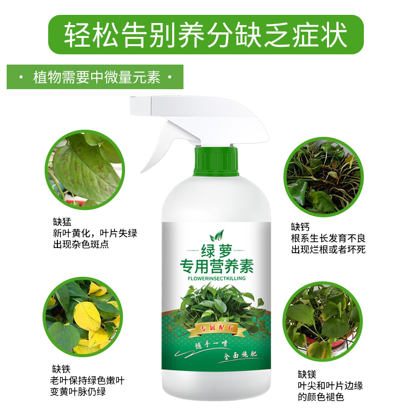 绿萝专用营养素植物花卉通用养分补充剂营养液盆栽页面肥易吸收-图0