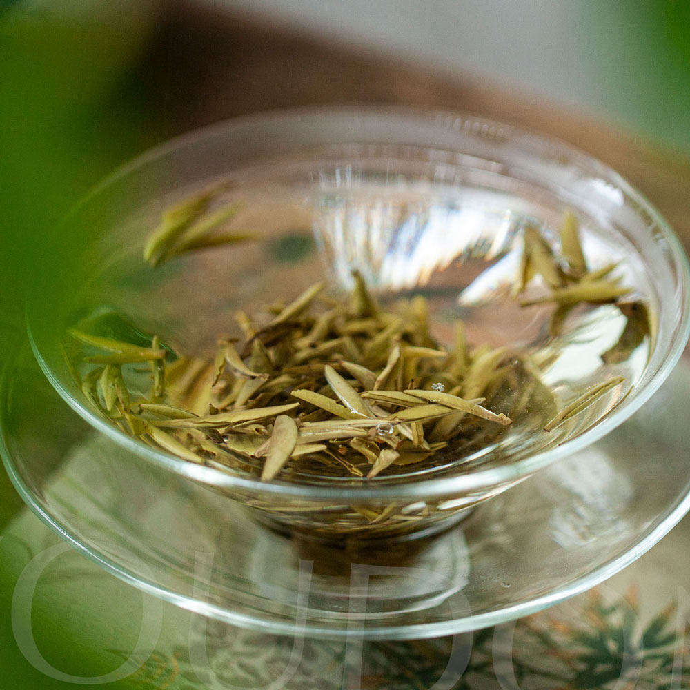 试饮｜九窨针王 单包独立包装4g福州茉莉花茶2024新茶游冬茶,淘宝优惠券,粉丝福利购,淘宝优惠卷