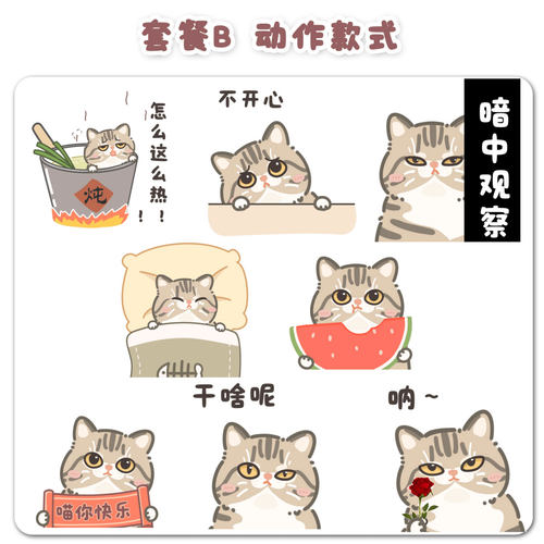猫咪动态表情包定制动画卡通贴图微信表情Q版头像狗猫咪礼物定制 - 图3