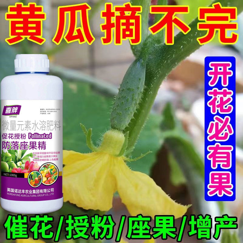 黄瓜坐瓜灵授粉坐果精保花坐果防落果无需沾花点花授粉喷雾叶面肥 - 图0