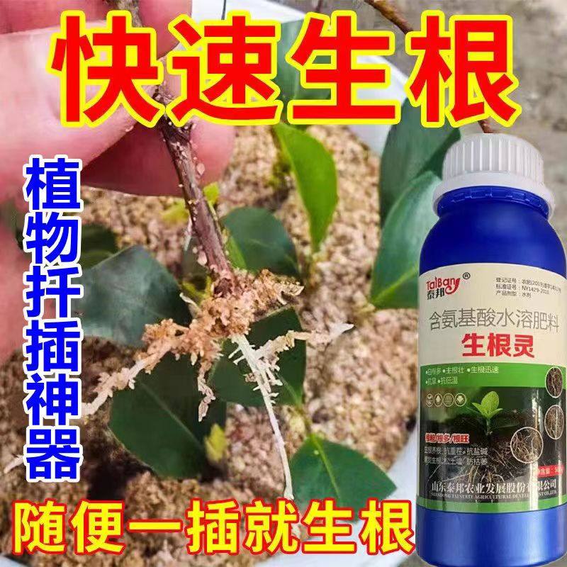 强力生根液【3天生根】植物扦插生根剂快速发根壮苗扦插移栽专用,淘宝优惠券,粉丝福利购,淘宝优惠卷