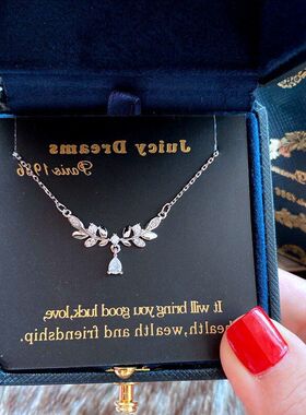 闺蜜批发送月桂女友轻奢花枝ins