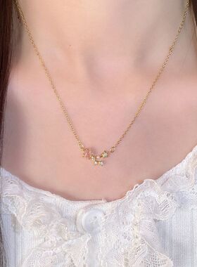 链流星秋冬轻奢女精致闪耀锁骨