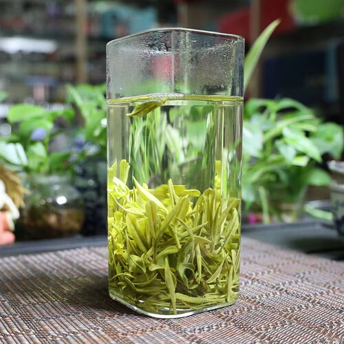 岳西翠兰茶叶2026年新茶茶农直销绿茶高山野茶500g性价比高味道好 - 图2