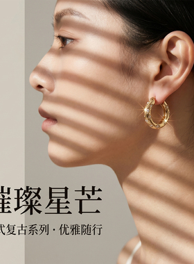2026新款爆款欧美圈圈耳环女秋冬轻奢高级感独特气质耳饰