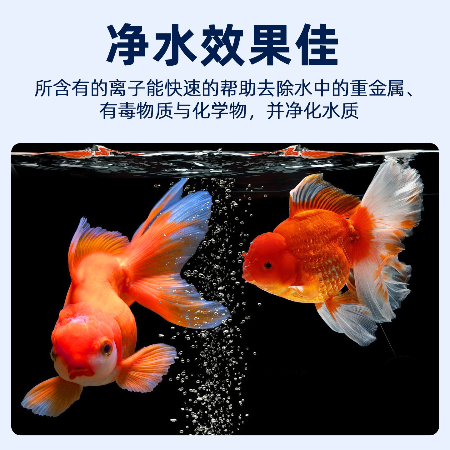 鱼乐宝除氯净水剂鱼缸水质净化净水片养鱼除氯剂专用清澈剂自来水,淘宝优惠券,粉丝福利购,淘宝优惠卷