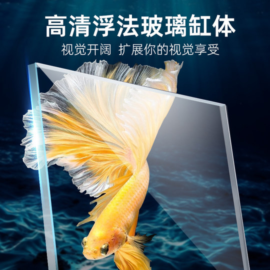 热弯小型客厅2025桌面玻璃缸水缸生态金鱼缸家用养鱼水族箱懒人