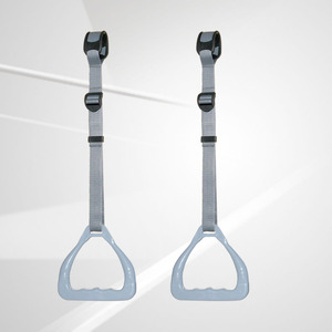 儿童运动健身体操引体向上吊环