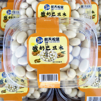 Spacey Squirrel Yogurt Batan Wood Almond boxed 200 grams of gift box Bottling Year Stock Red Zero Food Without Shell Snack