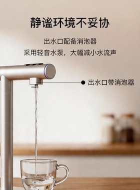海克台下304不锈钢温控定量开水