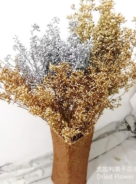 干花金色永生花尤加利果天然米果